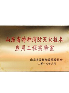 山东省特种消防365BET导航_365比分网_微软365企业版技术应用工程实验室
