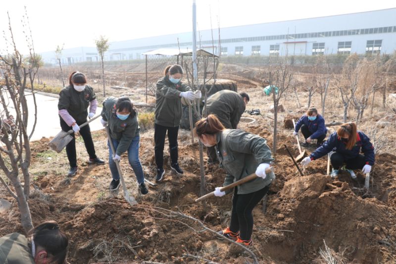 绿化国泰 美化人生-国泰科技组织义务植树活动